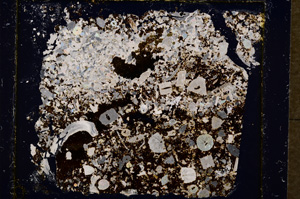 Cross Polarized, E19541