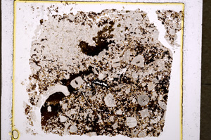 Plane Polarized, E19541