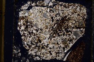 Cross Polarized, E19542