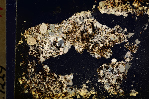 Cross Polarized, E19542/A