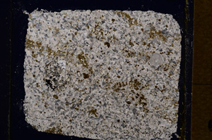 Cross Polarized, E19543