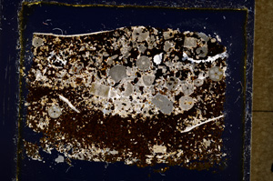 Cross Polarized, E19544