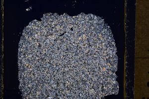 Cross Polarized, E19557