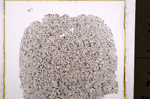 Plane Polarized, E19557