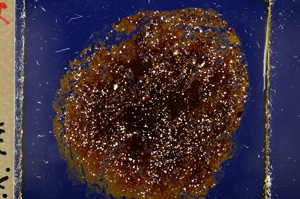 Cross Polarized, E19567