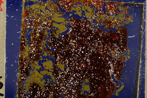 Cross Polarized, E19568