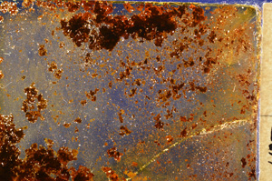 Cross Polarized, E19568/A