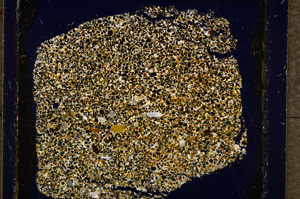 Cross Polarized, E19586