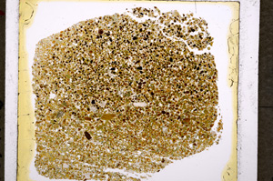 Plane Polarized, E19586