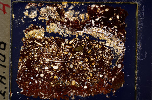 Cross Polarized, E19589