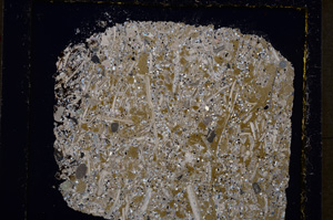 Cross Polarized, E19590