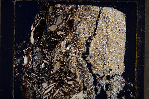 Cross Polarized, E19591