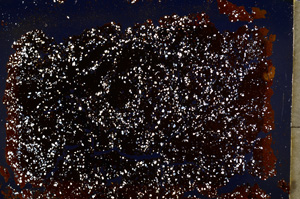 Cross Polarized, E19595/A