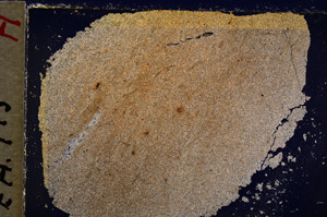 Cross Polarized, E19596/A