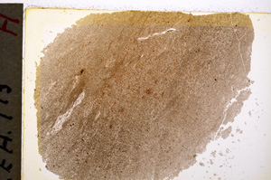 Plane Polarized, E19596/A