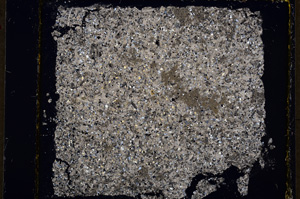 Cross Polarized, E19597