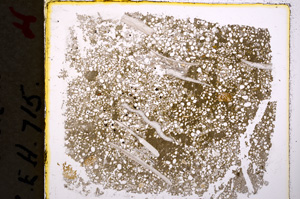 Plane Polarized, E19598