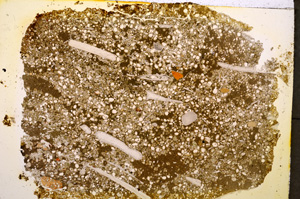 Plane Polarized, E19598/A