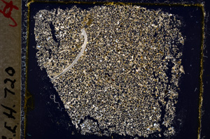 Cross Polarized, E19603