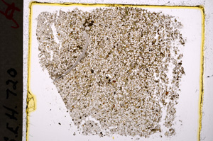 Plane Polarized, E19603