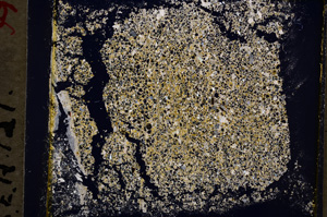 Cross Polarized, E19604