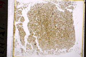 Plane Polarized, E19604