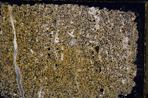 Cross Polarized, E19604/A