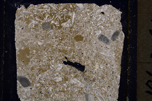 Cross Polarized, E19606