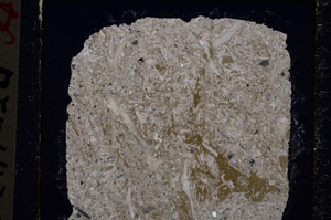 Cross Polarized, E19607