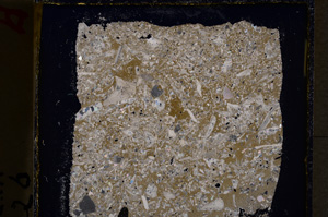 Cross Polarized, E19609