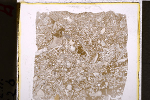 Plane Polarized, E19609