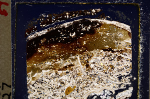 Cross Polarized, E19610