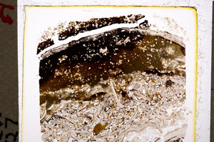 Plane Polarized, E19610