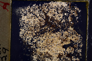 Cross Polarized, E19612