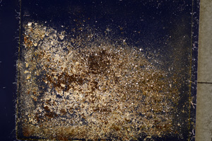 Cross Polarized, E19612/A