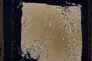 Cross Polarized, E19613