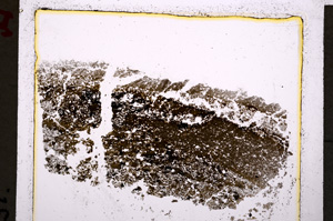 Plane Polarized, E19614