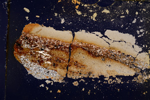 Cross Polarized, E19614/A