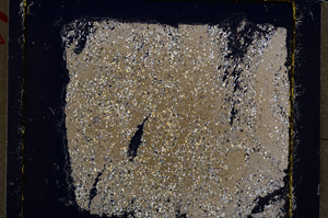 Cross Polarized, E19615