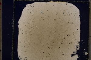 Cross Polarized, E19617