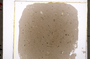 Plane Polarized, E19617