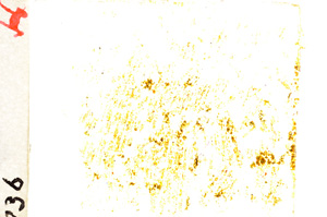 Plane Polarized, E19619