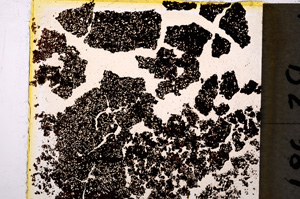 Plane Polarized, E19625/A