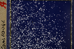 Cross Polarized, E19636