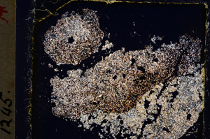 Cross Polarized, E19644/A