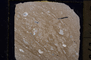 Cross Polarized, E19652