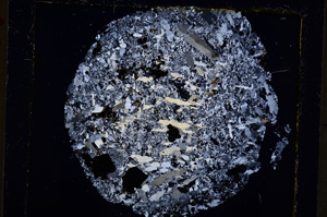 Cross Polarized, E19654