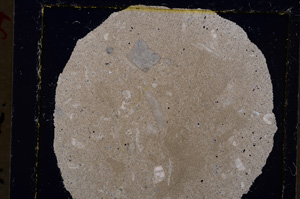 Cross Polarized, E19657