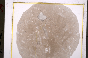 Plane Polarized, E19657