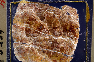 Cross Polarized, E19677